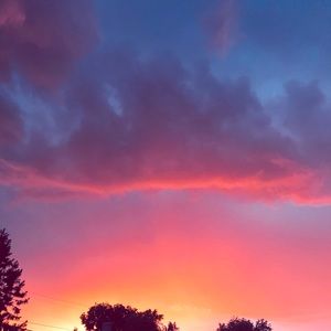 Meet your Posher, Sophia